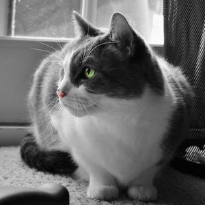 Meet your Posher, Audrey